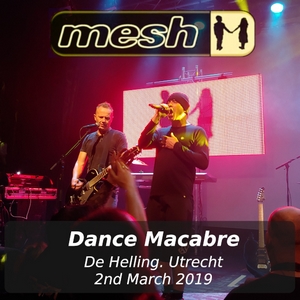 Mesh - 2019-03-02.jpeg